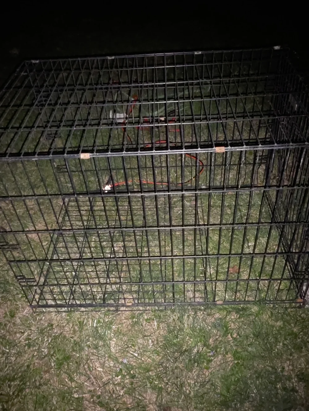 Black Large Pet Wire Cage - Durable Metal Crate ( Folds)